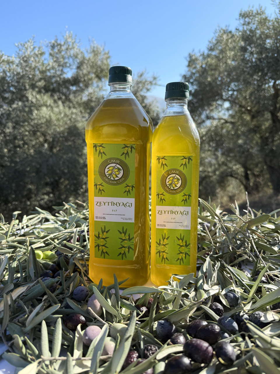 zeytinyağı